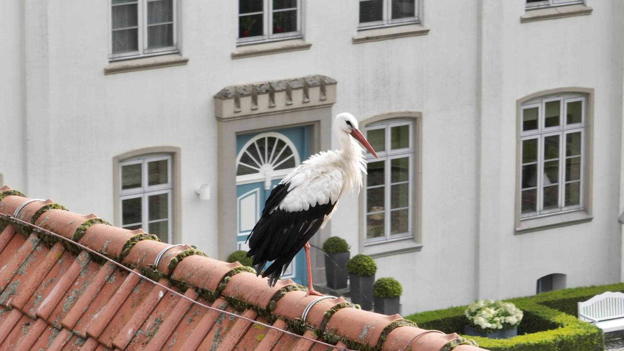 Hotel & Gaestehaus Gut Kaden Alveslohe Экстерьер фото